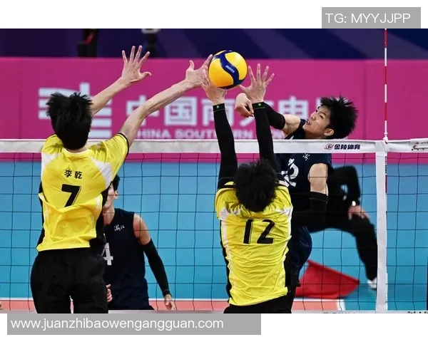 杭州排球队在锦标赛中的团队协作表现分析与评价