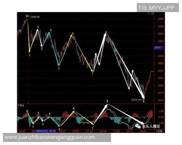 重庆排球队包夹战术深度解析与实战应用探讨 重庆排球队包夹战术深度解析与实战应用探讨