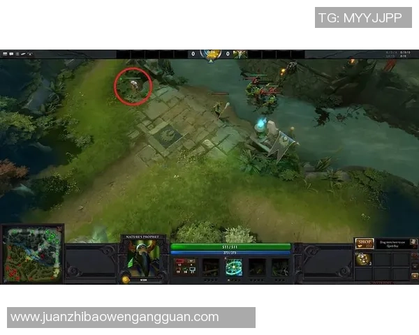 DOTA2深度：解密BLG的区域防守