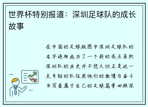 世界杯特别报道：深圳足球队的成长故事